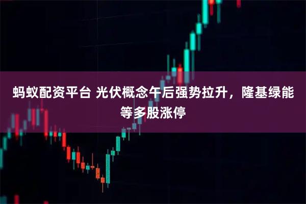 蚂蚁配资平台 光伏概念午后强势拉升，隆基绿能等多股涨停